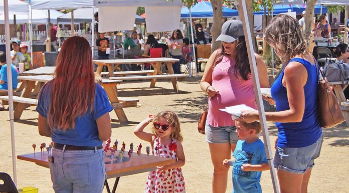 Charity Craft Fair raises funds for charity’s move to Temecula