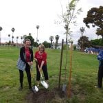 Hemet Women’s Club celebrates Arbor Day with tree planting
