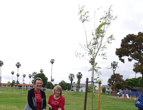 Hemet Women’s Club celebrates Arbor Day with tree planting