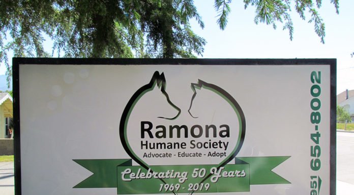 Ramona Humane Society celebrates 50th anniversary with luau and logo redesign