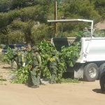 06-14-19-LOCAL-Anza Drug Bust-DS-photo (19)