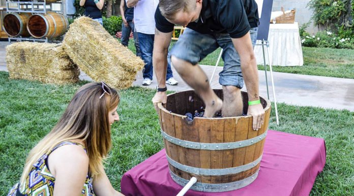 South Coast Winery Resort and Spa announces annual Grape Stomp