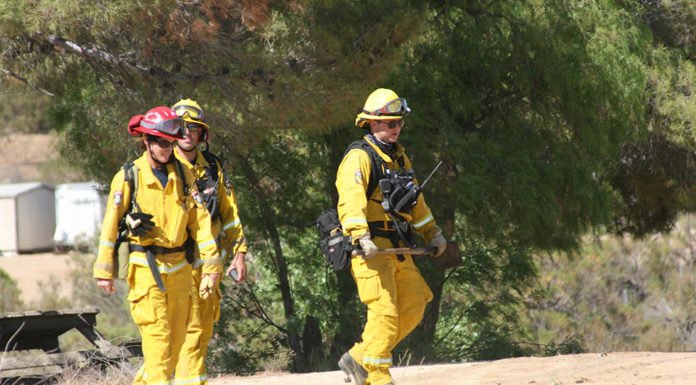 Weed abatement and hazard elimination improves fire safety