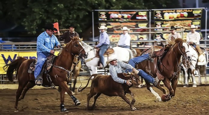 VanderLans wins steer wrestling at Tehachapi