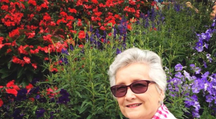 Local author publishes book about life in Ireland