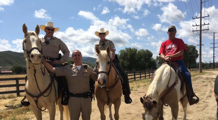 Horsewomen of Temecula Wine Country will represent the area at 2020 Tournament of Roses Parade