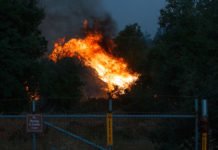Tenaja Fire chars 1,926 acres in La Cresta and Murrieta