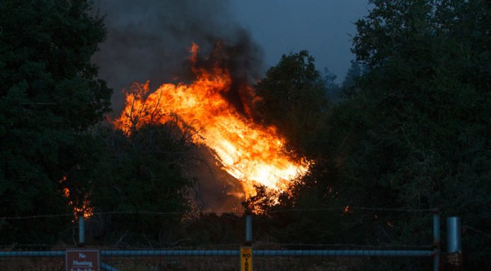 Tenaja Fire chars 1,926 acres in La Cresta and Murrieta