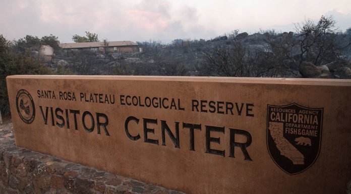 GoFundMe account established to help Santa Rosa Plateau to recover