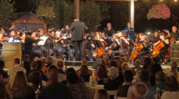 No moon is no problem at ‘Symphony in the Vines’