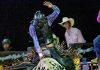 Necochea wins circuit Bull Riding championship
