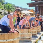 Peltzer Family Cellars to host second Stomp Out Cancer Festival