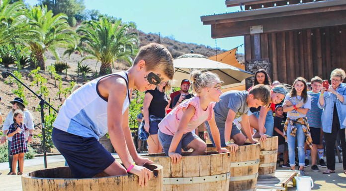 Peltzer Family Cellars to host second Stomp Out Cancer Festival