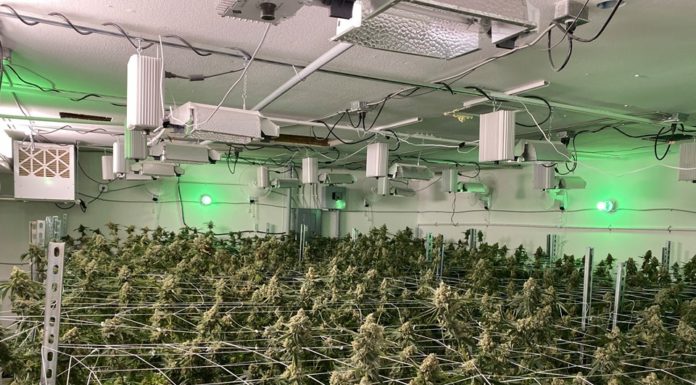 Pair suspected of operating indoor marijuana grow at Wildomar property