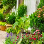 Earthquake Brace + Bolt grant program opens again for 2025 applications