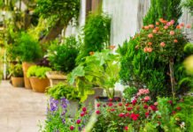 RCWD given WaterSense Partner of the Year Award