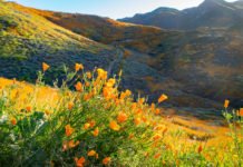 EVMWD proposes rate adjustments to support reliable water services