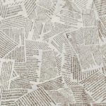 Dual citizenship and anti-Americanism Opinion section