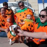Paws on the Promenade showcases pet costumes, adoptable dogs