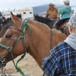 Ride on the Rez celebrates 9 years of fellowship, fun