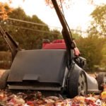 Checklist: Do this fall yard work now, reap benefits next spring