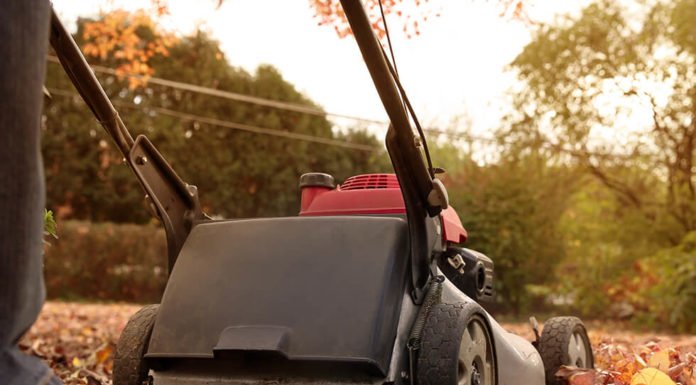 Checklist: Do this fall yard work now, reap benefits next spring