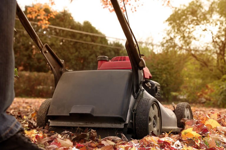Checklist Do this fall yard work now, reap benefits next spring Valley News