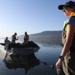 Lake Elsinore Fish Survey nets its goal