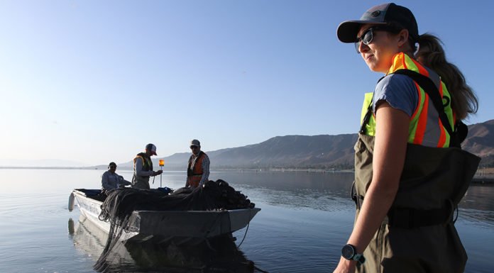 Lake Elsinore Fish Survey nets its goal