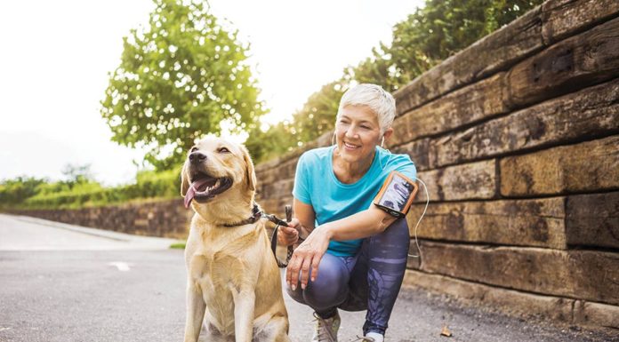 Prevent lost pets with these simple tips