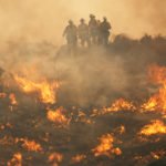 California adopts 22 new laws taking aim at wildfire danger