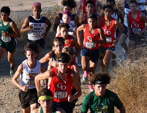 HS cross-country: Great Oak runs out on top at Southwestern League cluster