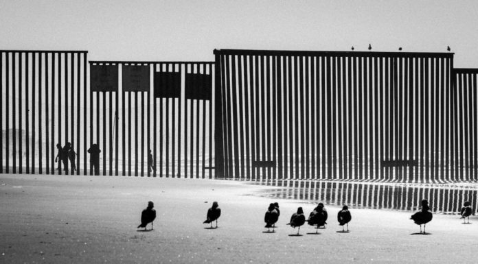 Illegal crossings plunge as US extends policy across border
