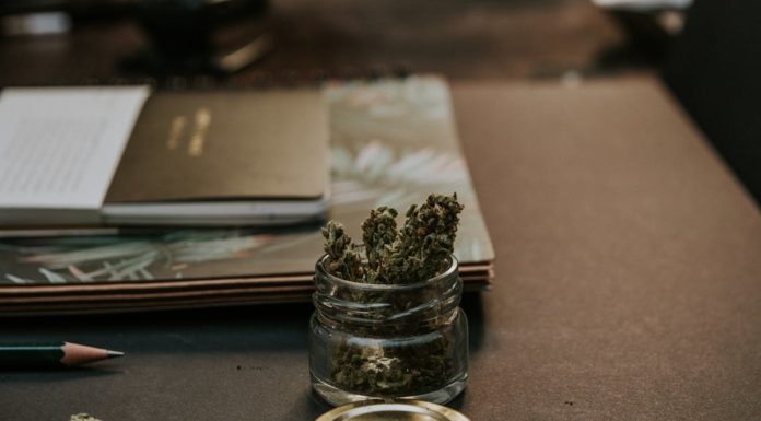 How Canada’s legalization is shaping cannabis laws elsewhere