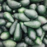 Food Avocado
