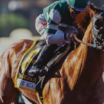 Horse injured in race at Santa Anita; 34th to die at track