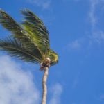 Santa Ana winds raise wildfire hazards in Riverside County