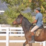 Heavenly Horse Haven Chili Cook Off feeds community, raises funds