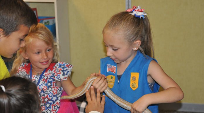 Rattlesnakes wow kindergarteners