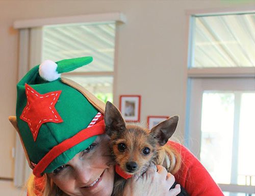 Cocoa, crafts and caroling at the kennels kennels with AFV’s Howliday Open House