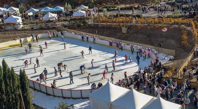Peltzer welcomes holiday season with ice rink, tree lighting