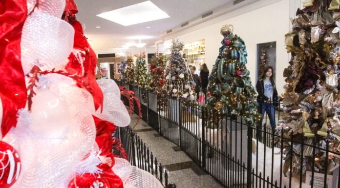 HFHIV’s Christmas Tree Lane helps nonprofit fight housing crisisÂ