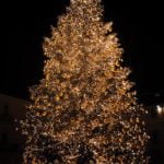 Get ready for the holidays in Temecula Wine Country