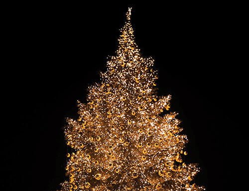 Get ready for the holidays in Temecula Wine Country