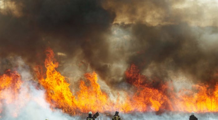Judge keeps California law on utilities paying fire damages