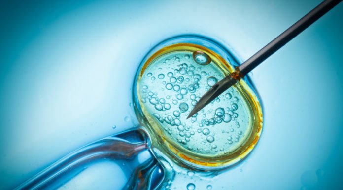 1 year later, mystery surrounds China’s gene-edited babies