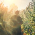 High anxiety: Proposed US hemp rules worry industry