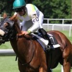 Del Mar horse races canceled on Thanksgiving Day