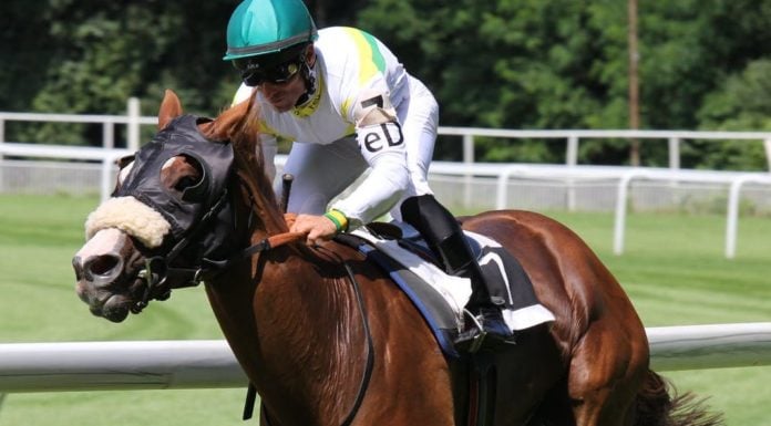 Del Mar horse races canceled on Thanksgiving Day
