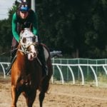 15-1 long shot fatally injured in Breeders’ Cup Classic